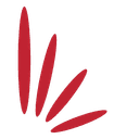 WilCom Systems Limited