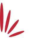 WilCom Systems Limited